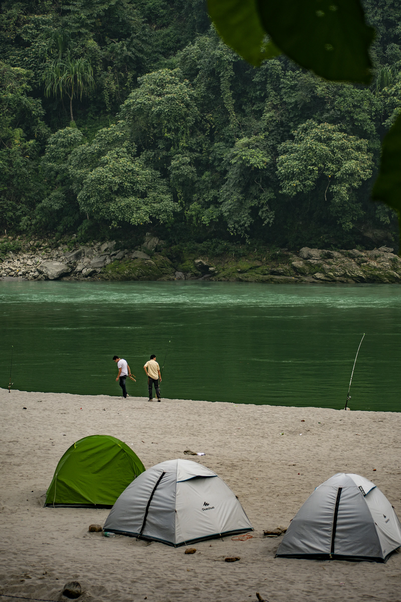 Tents on the white sand at Tribeni, where the Rangeet runs into the jade green Teesta below forested hills