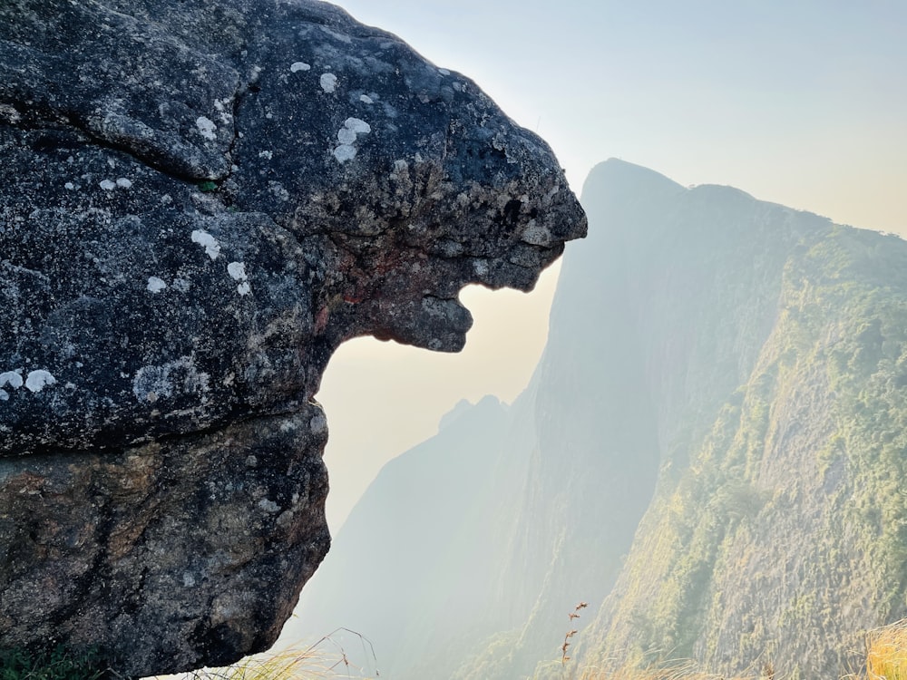 a person standing on top of a mountain next to a cliff