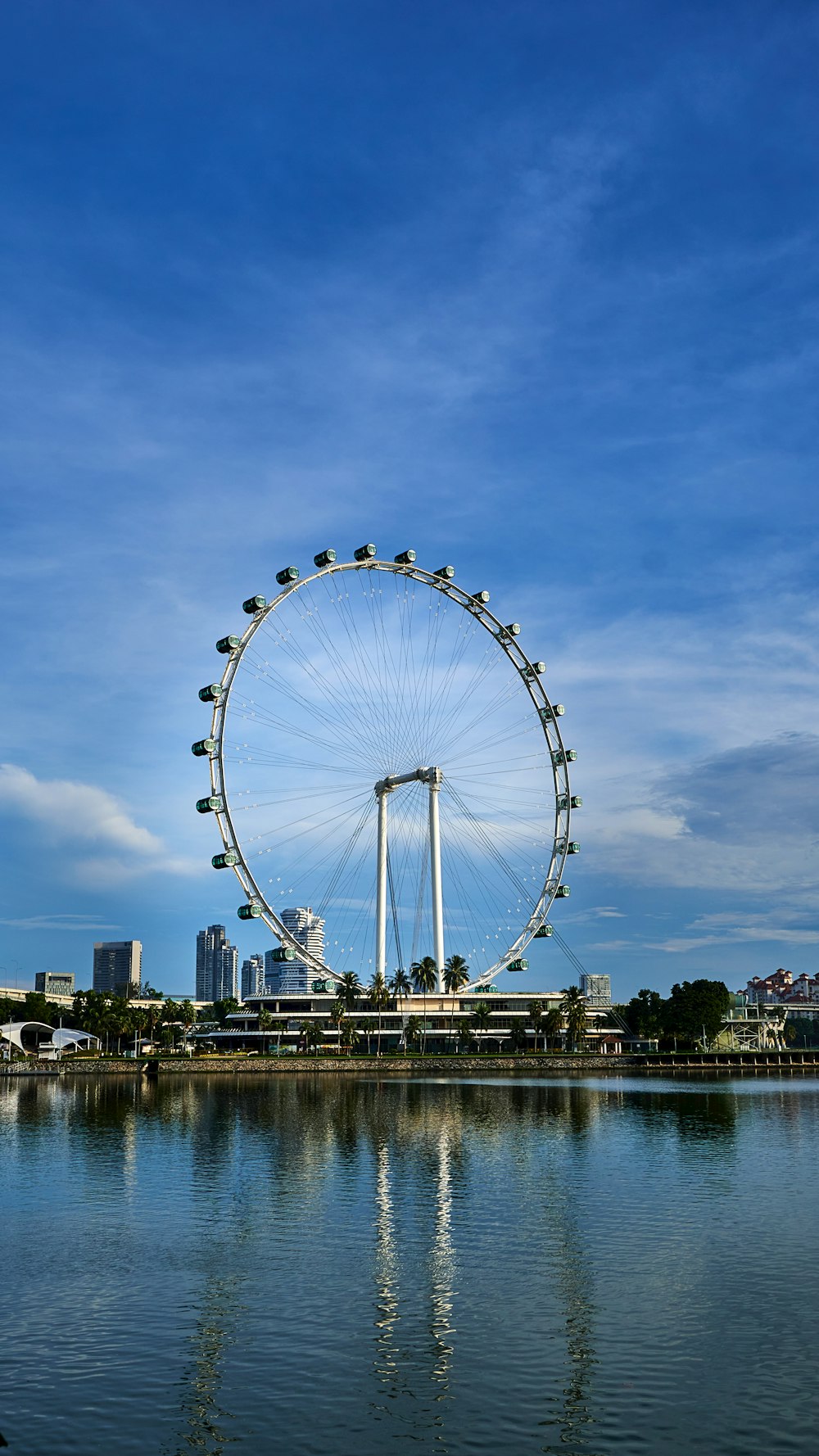 a large ferris wheel sitting above a body of water