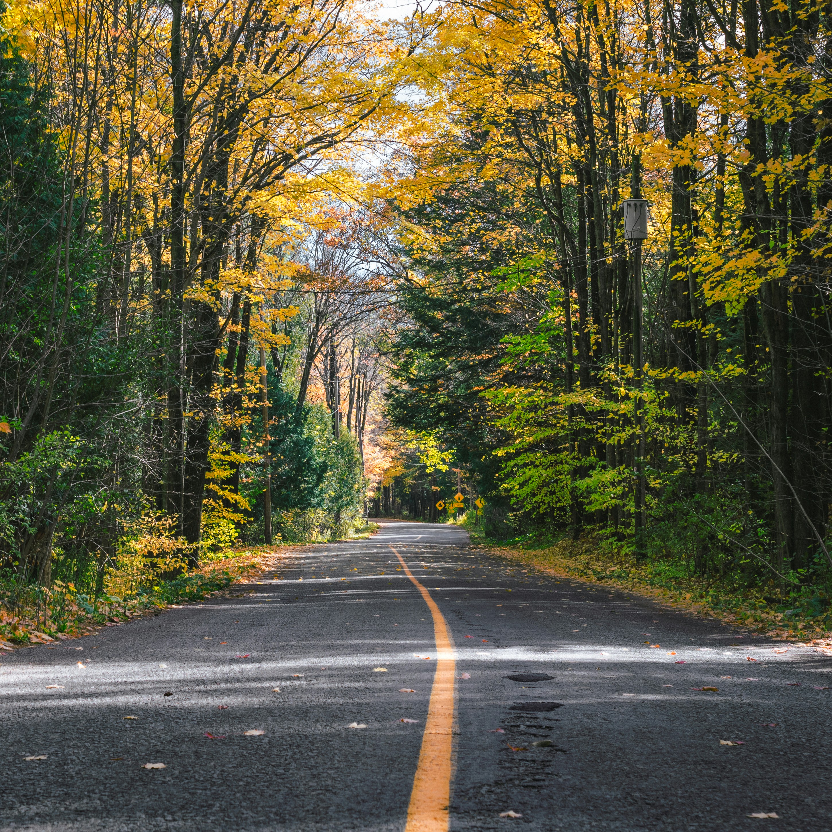 Photo by meganlee007