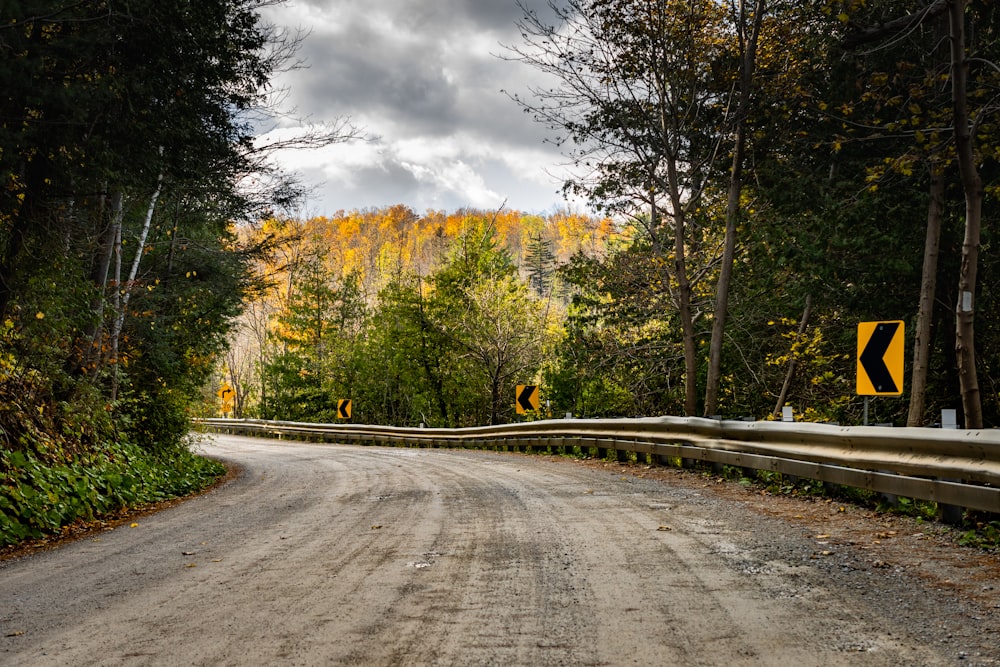 a dirt road surrounded by trees and a forest