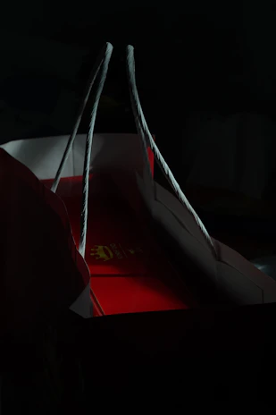 An elegant customer unboxing premium physical merchandise under moody dark lighting with neon accents.