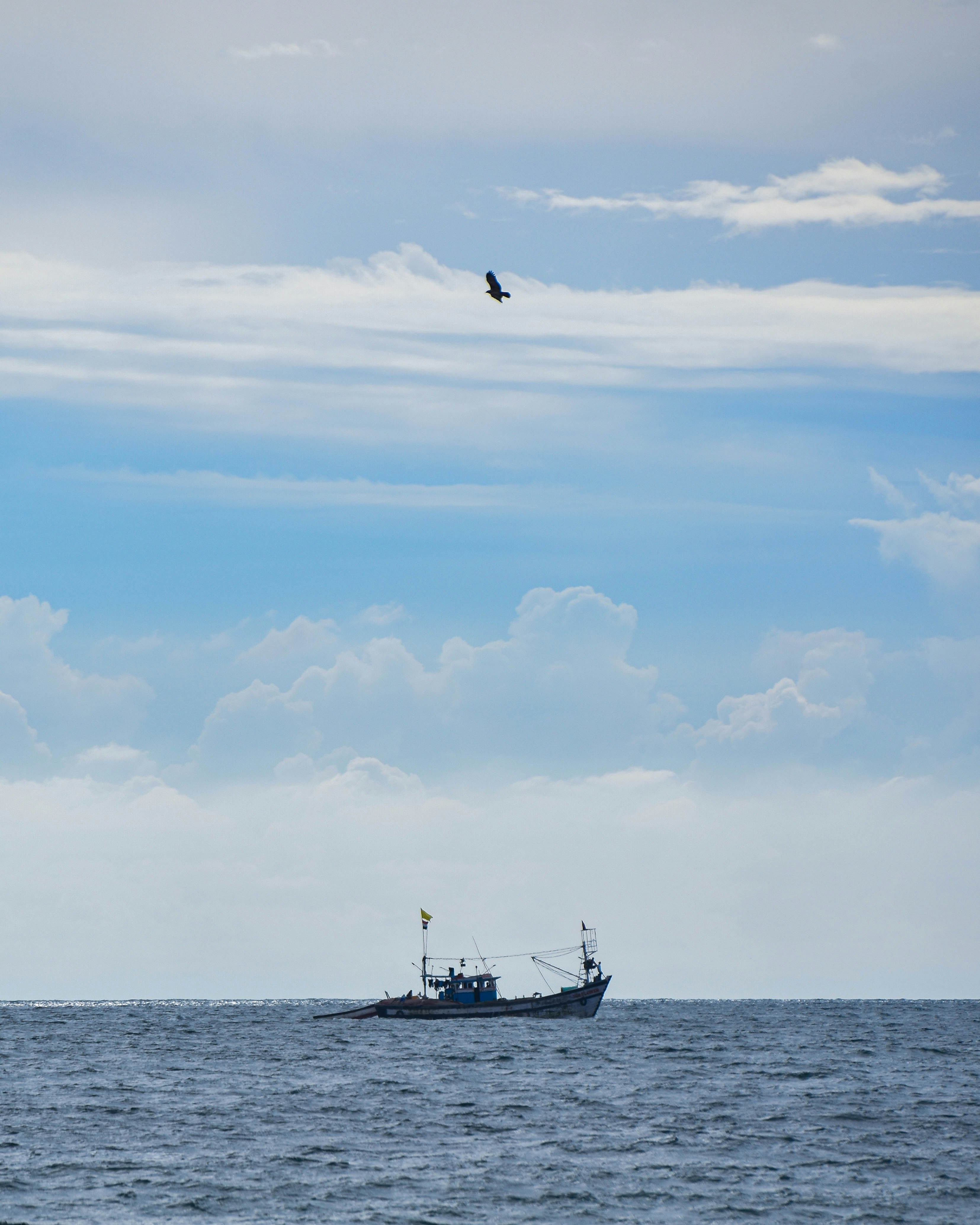 Photo by chandanshastri