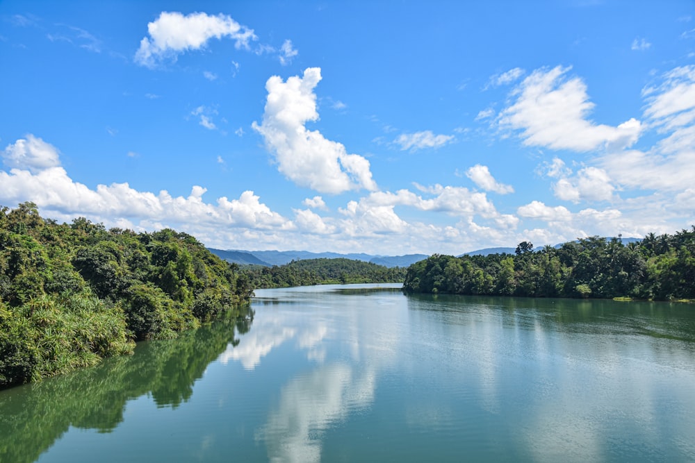 a body of water surrounded by lush green trees