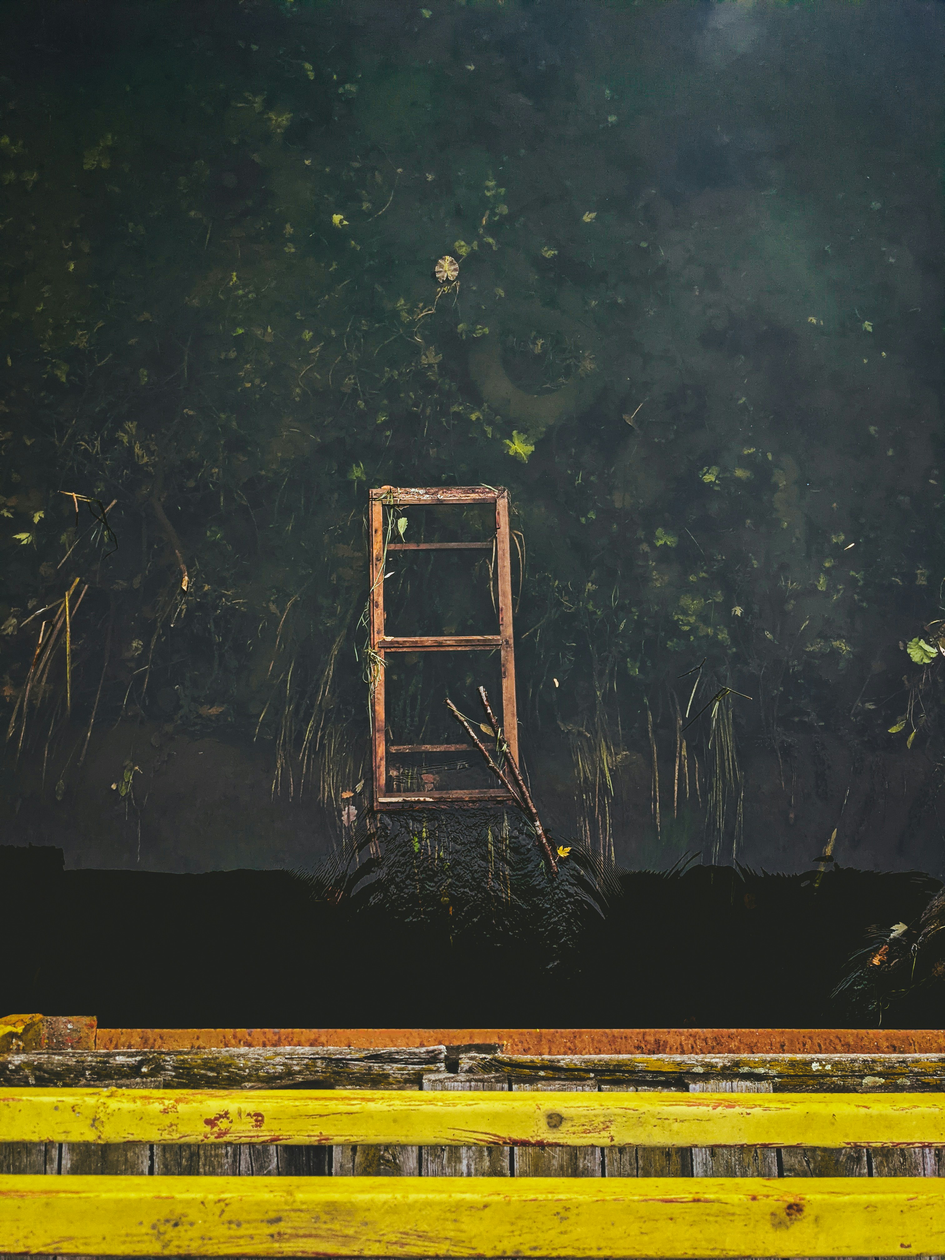 a yellow bench sitting in front of a forest
