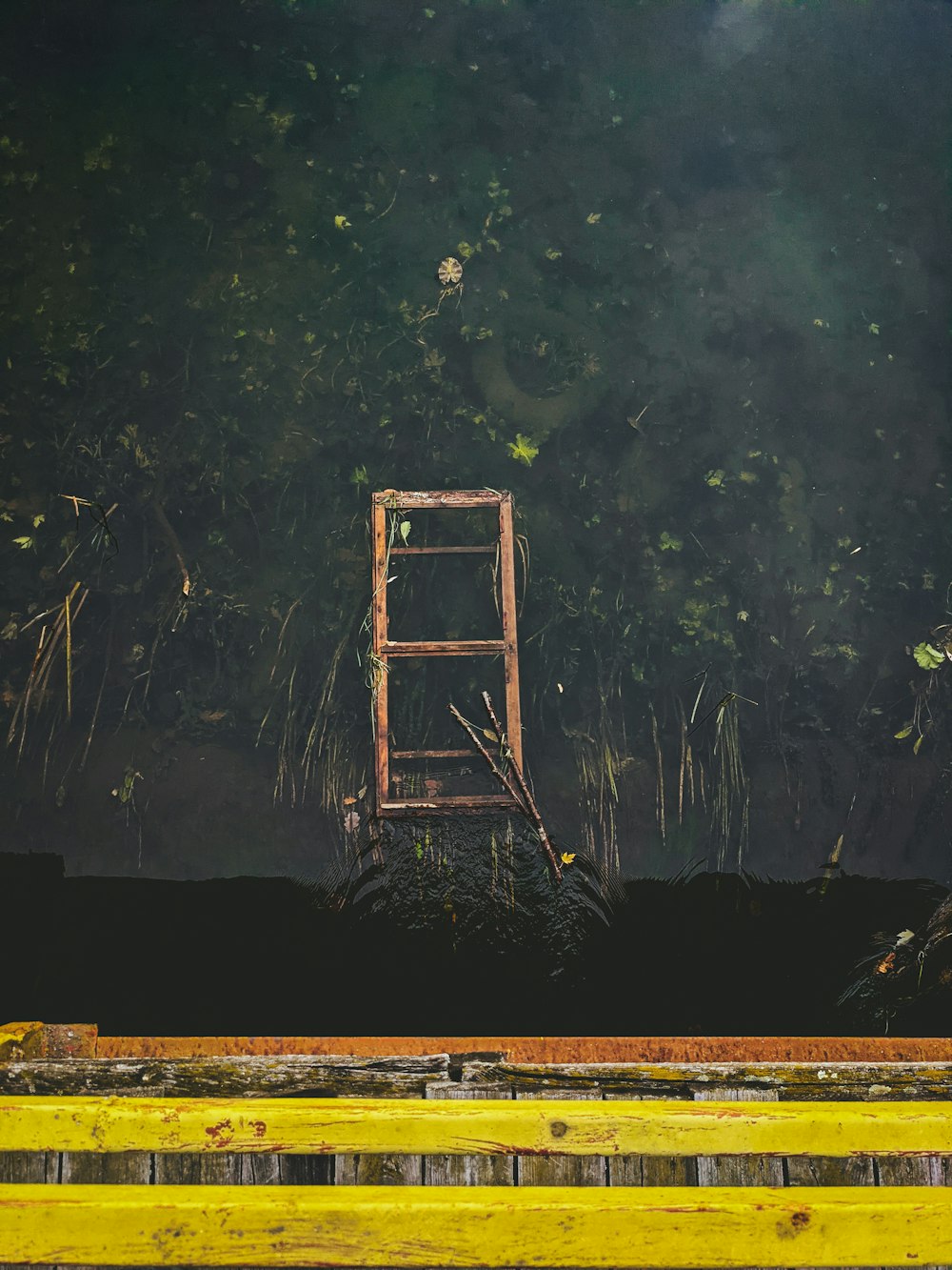 a yellow bench sitting in front of a forest