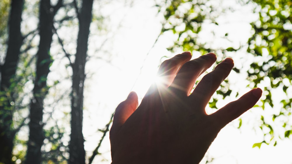 a person holding their hand up to the sun