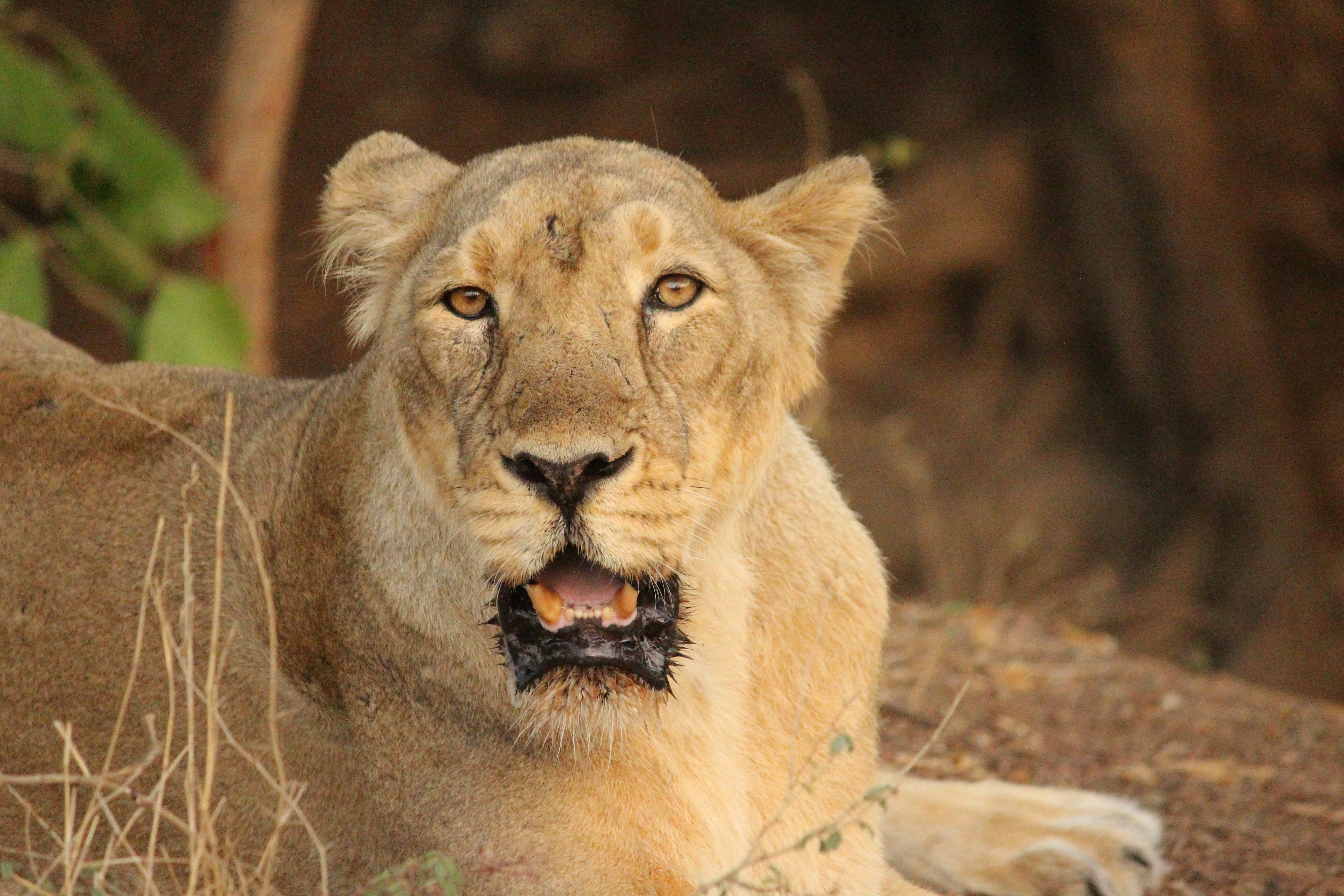 Photo by parthshah36