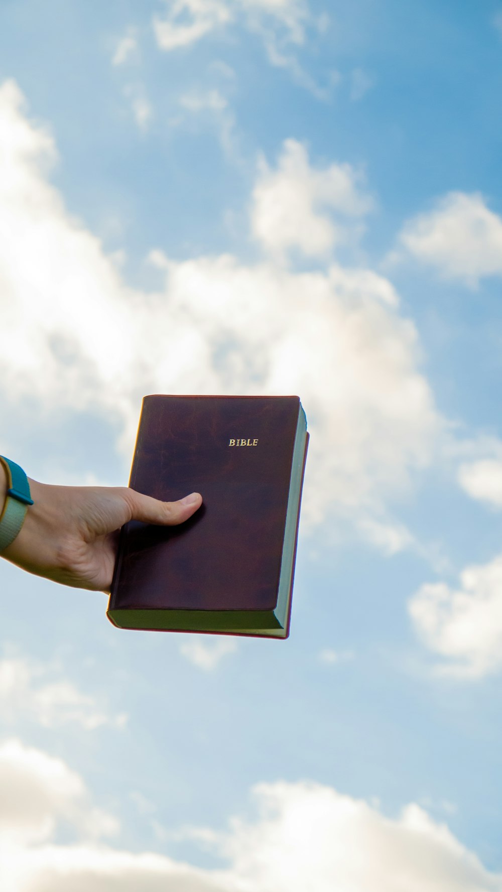 a person holding a book in their hand