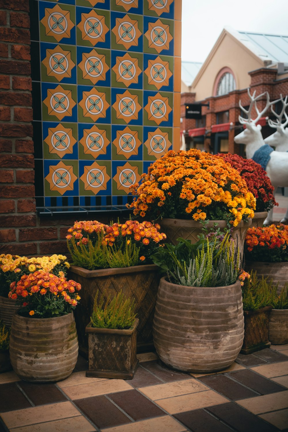 a bunch of flowers that are in some pots