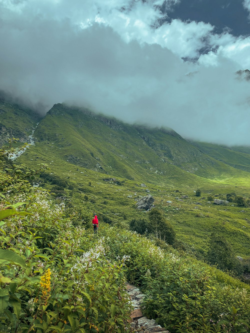 a person walking up a trail in the mountains