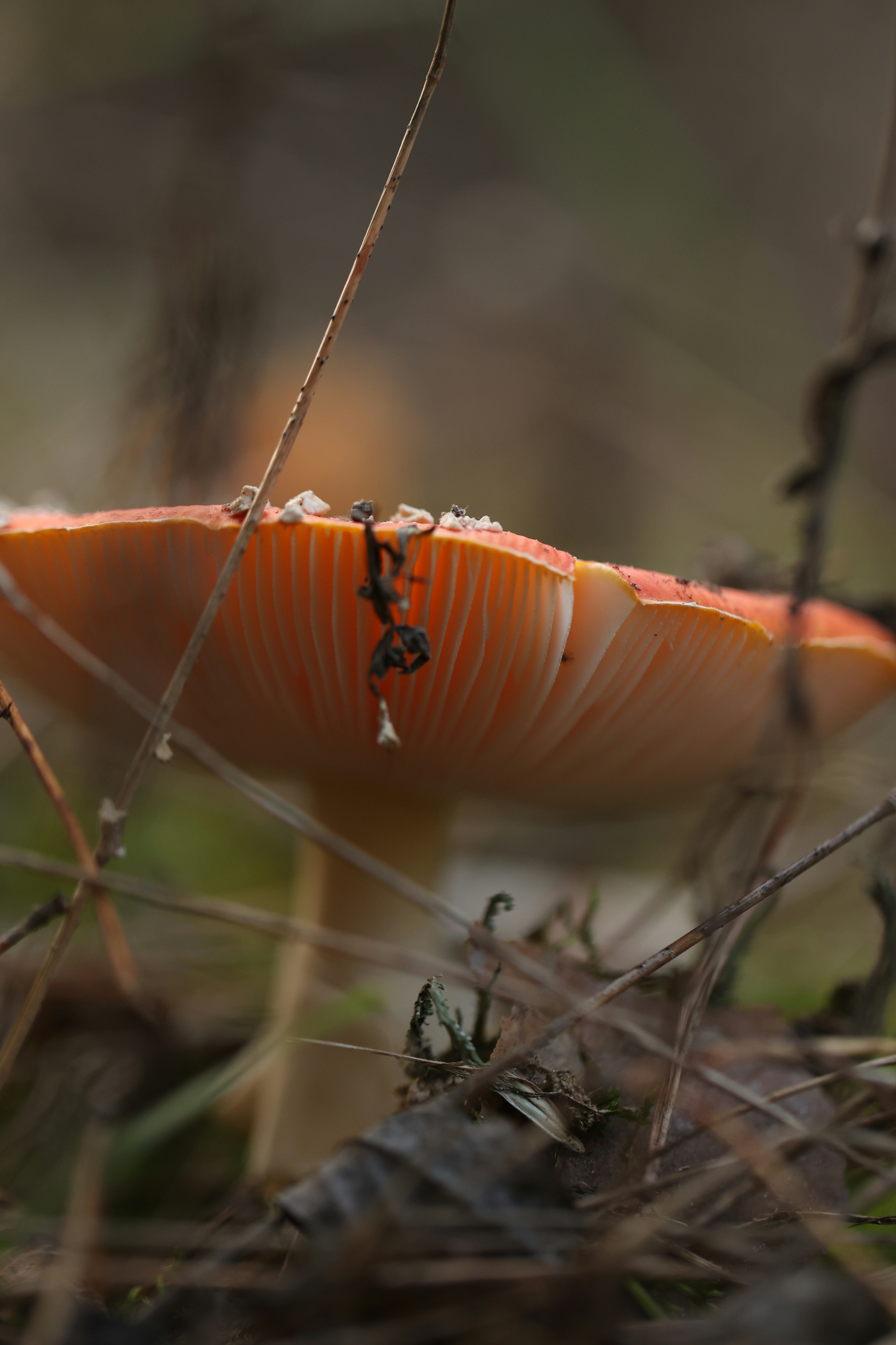 Photo by raspopovamarisha