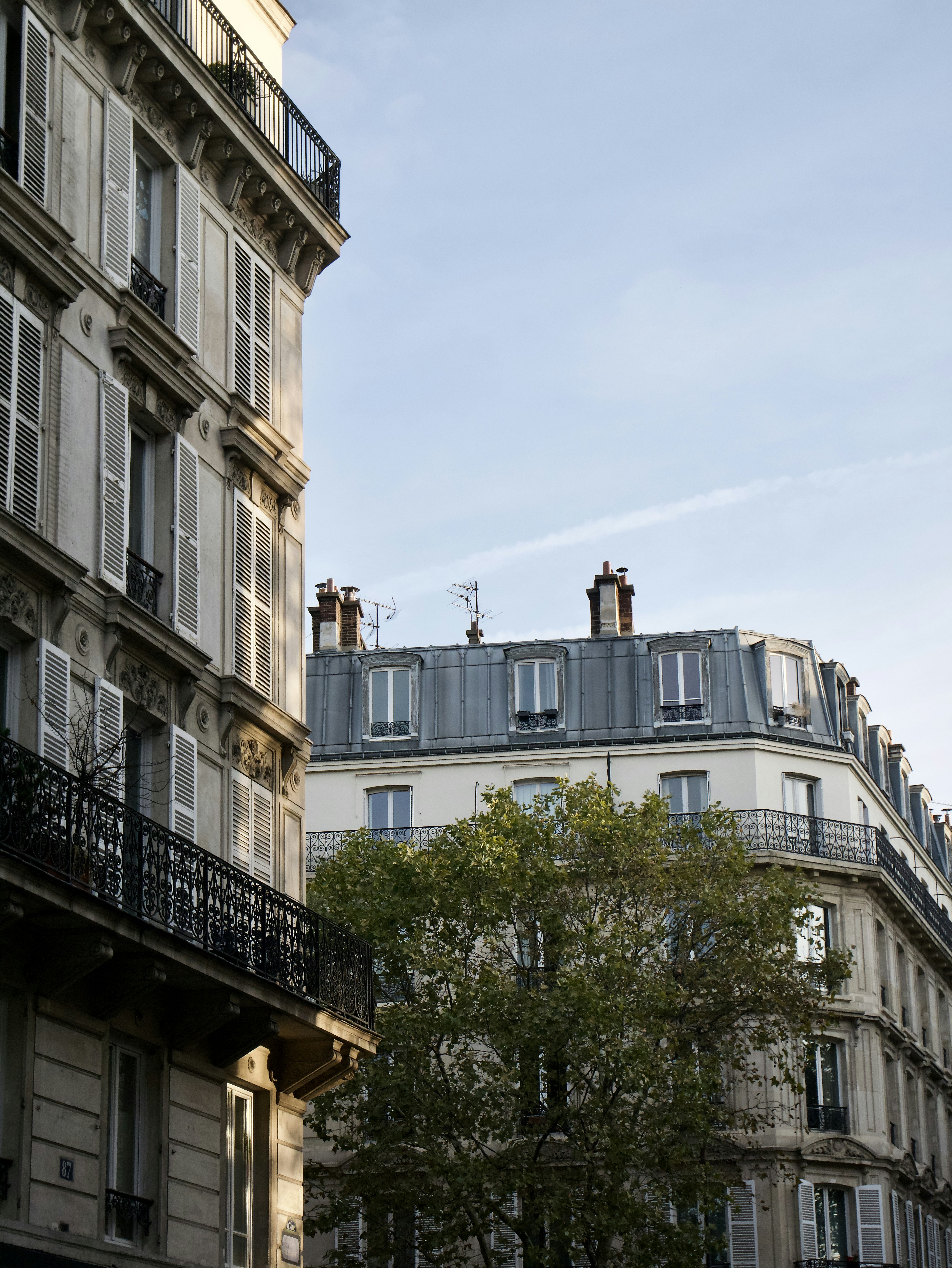 overview of parisian buildings