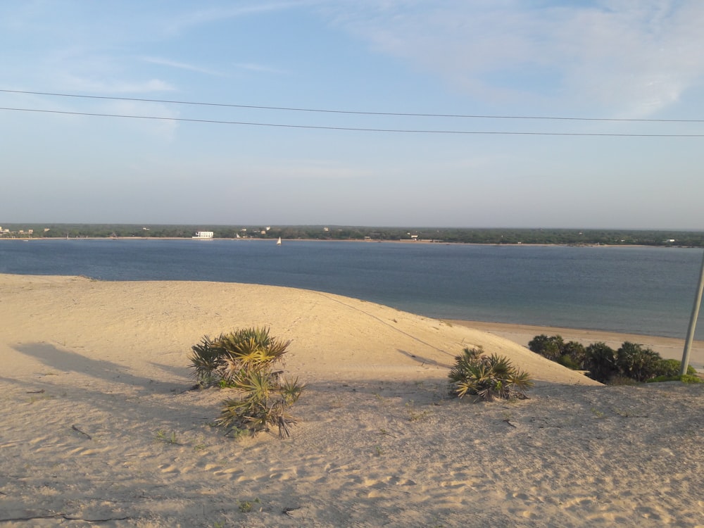 a view of a body of water from a sand dune
