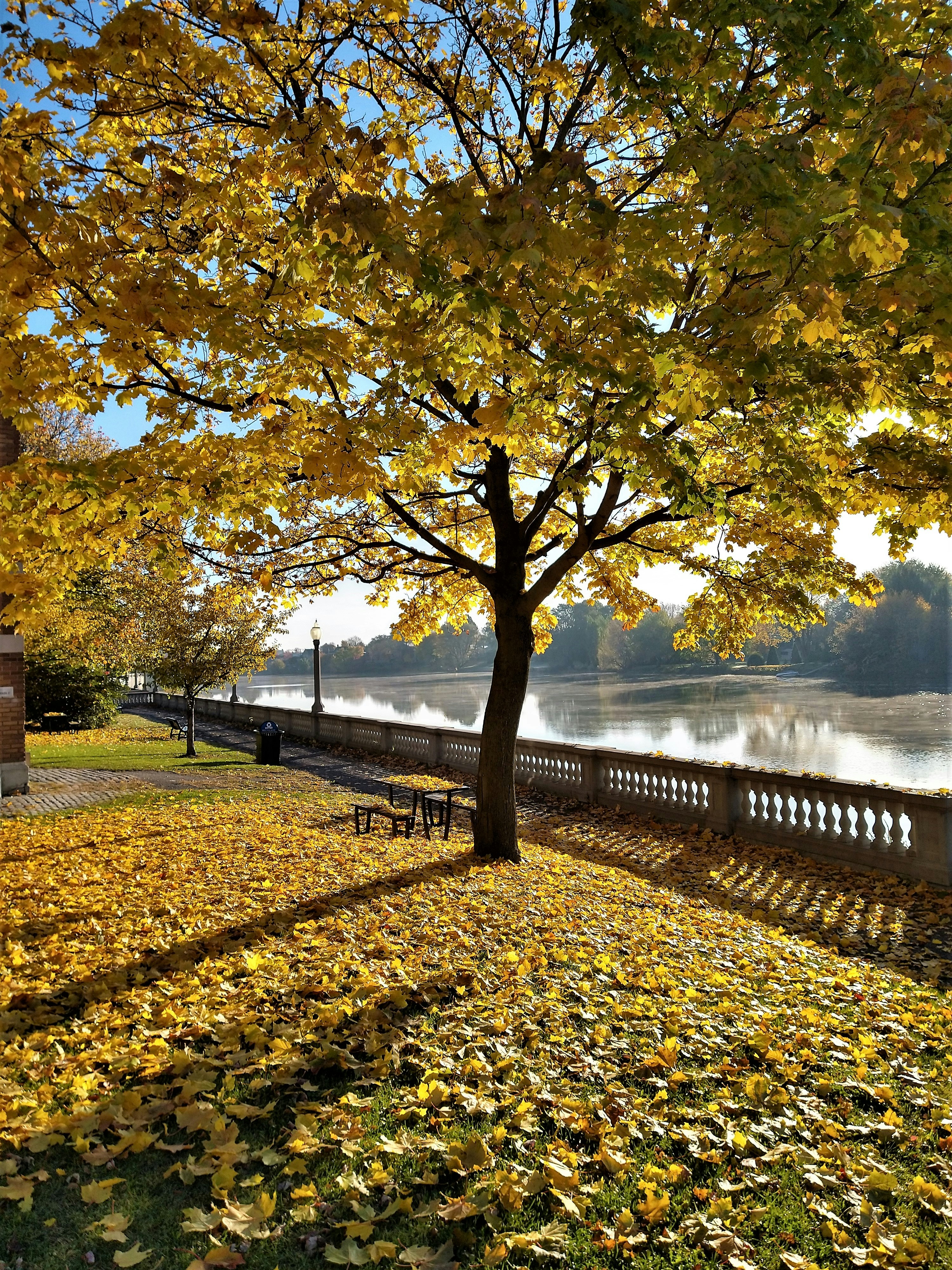 Photo by firebirdvll