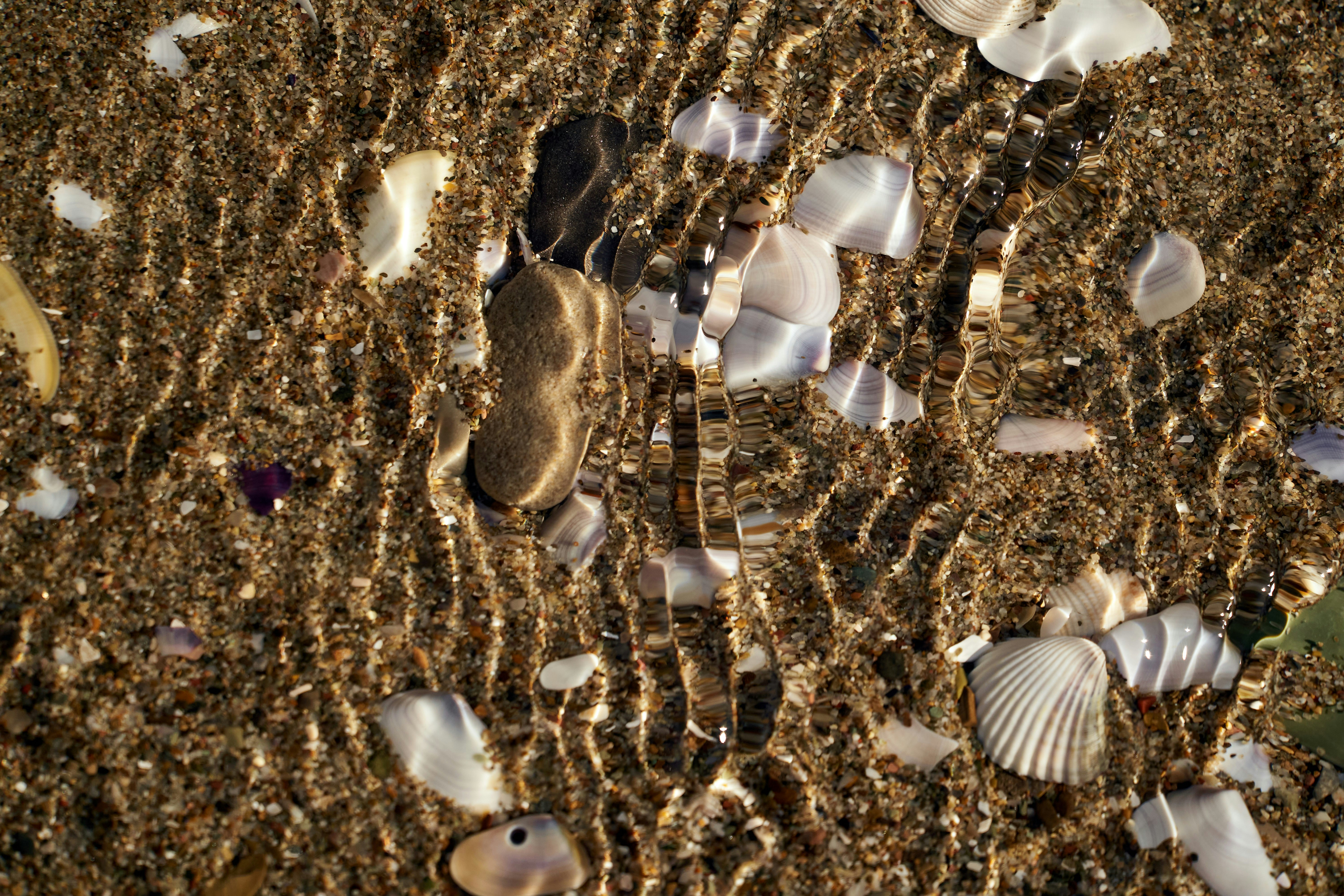 Photo by wolfgang_hasselmann