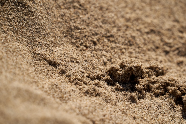 a close up of a bird's footprints in the sand