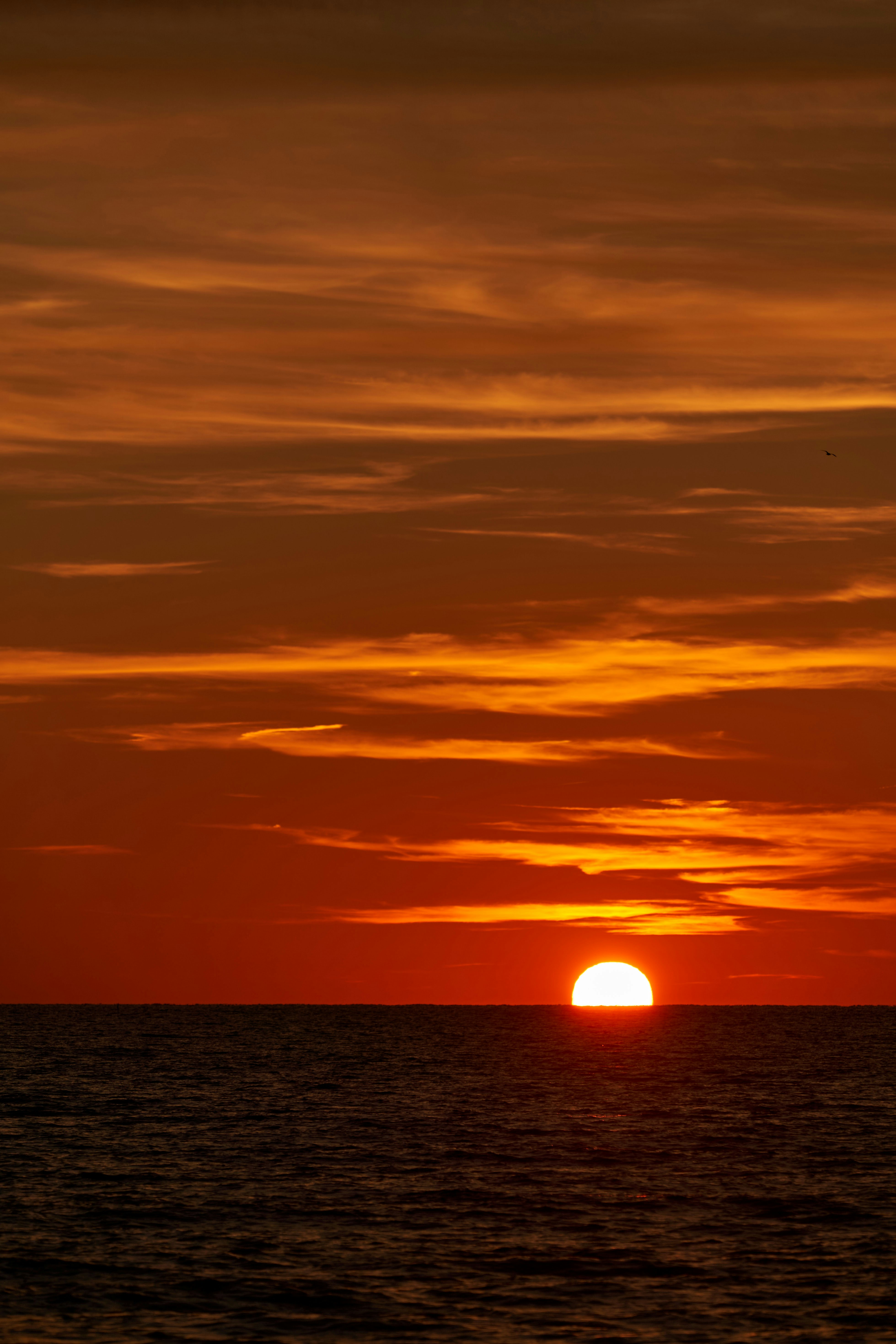 Photo by wolfgang_hasselmann