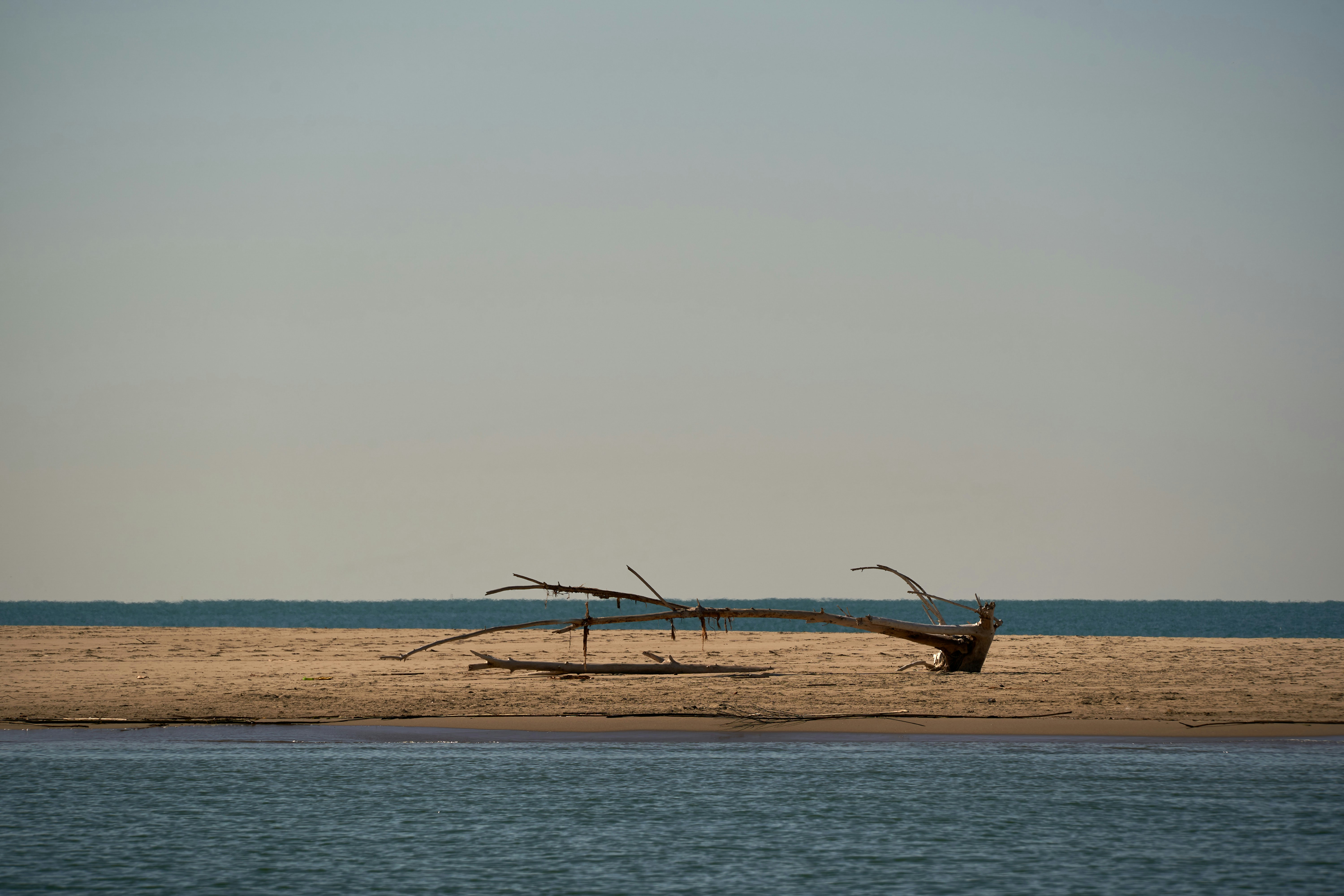 Photo by wolfgang_hasselmann