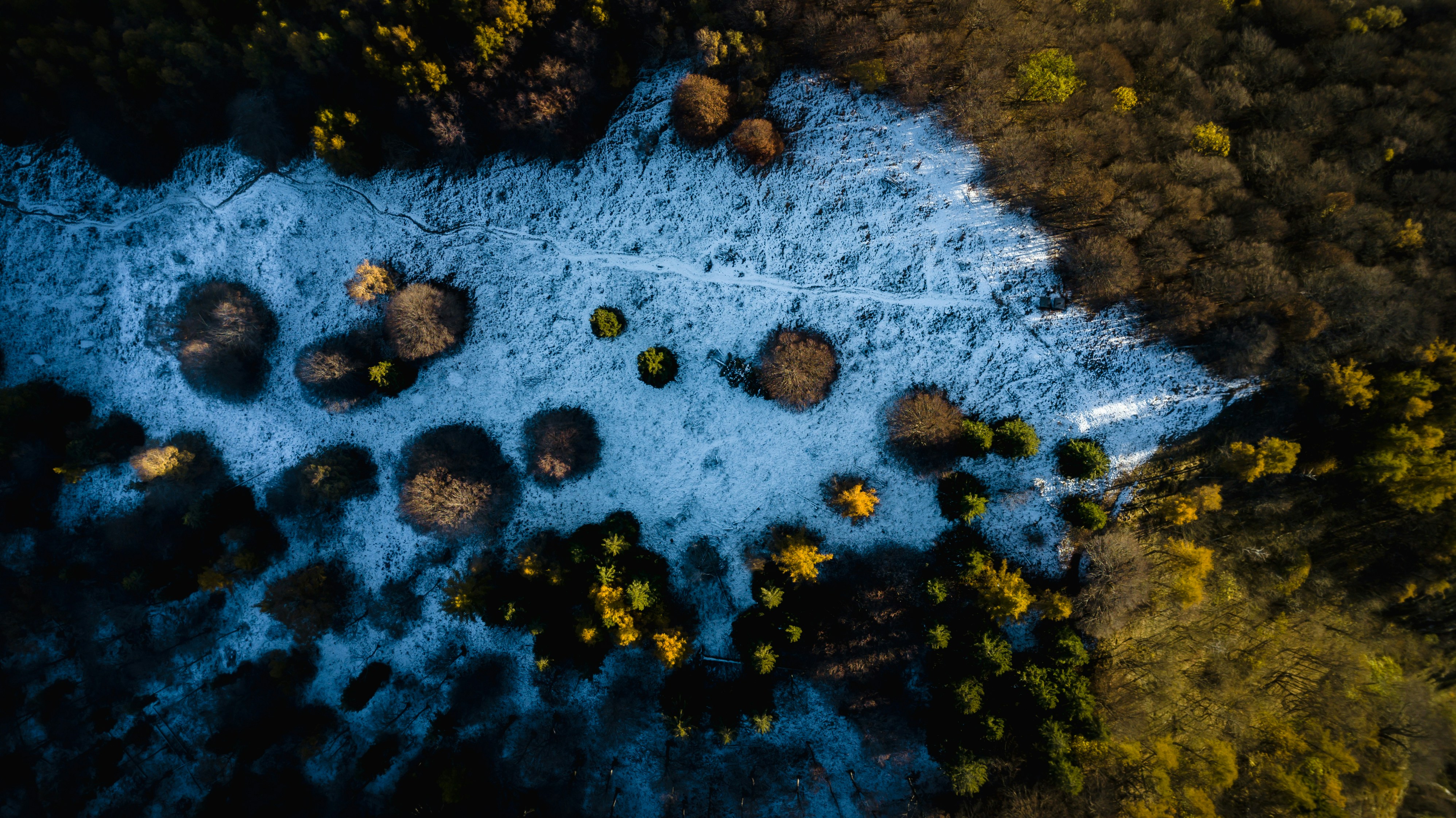 Photo by sentidoshumanos