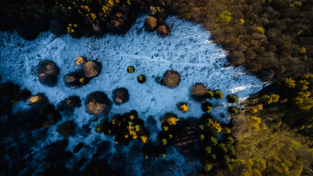 an aerial view of a snow covered forest