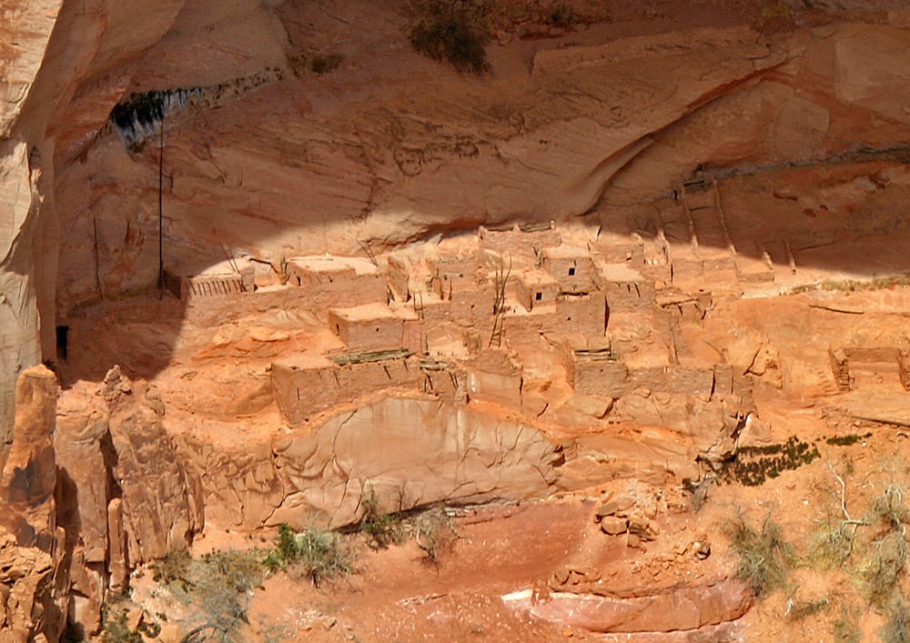 a group of animals standing on top of a cliff