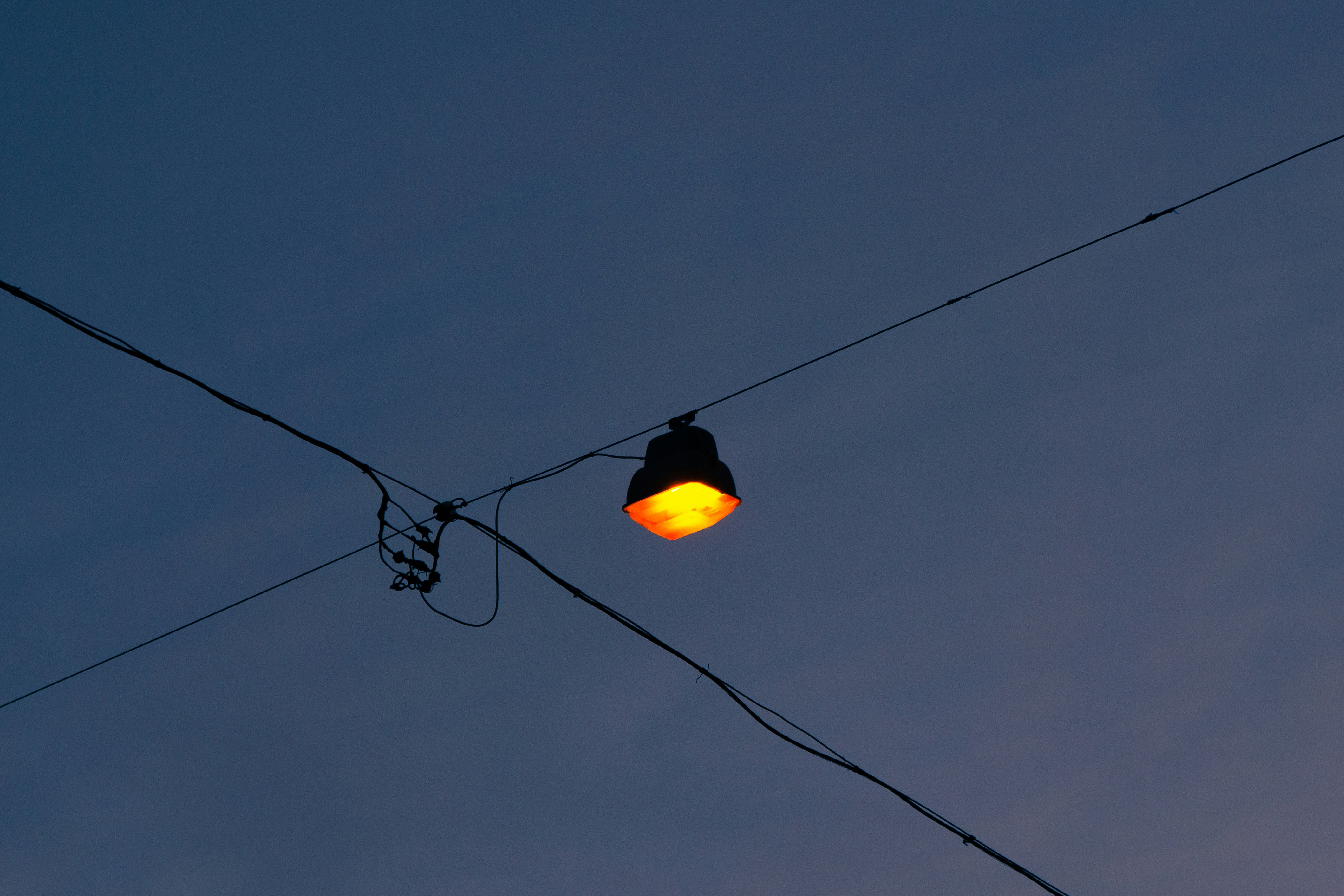 Photo by astashov_artem