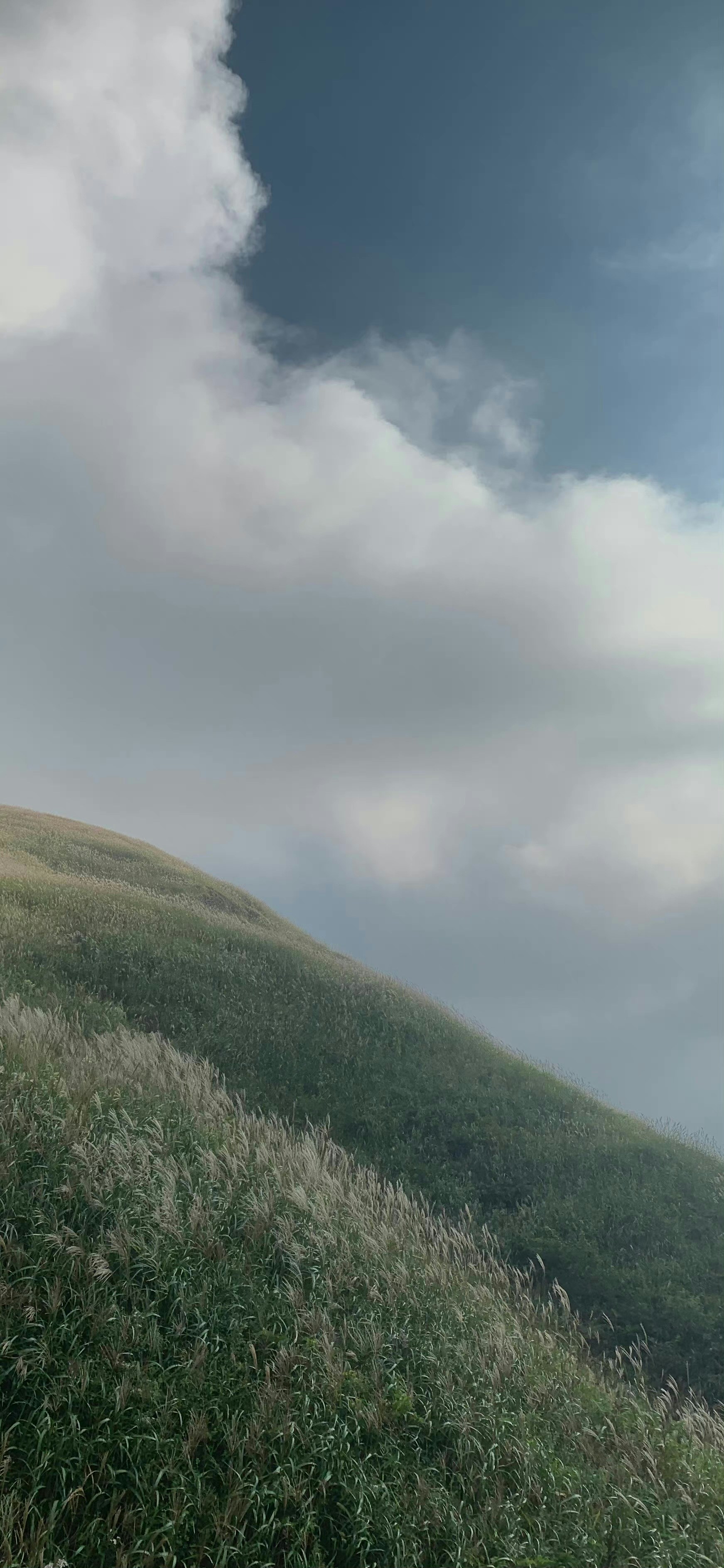 Photo by lhw752426419