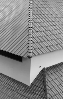 a black and white photo of a roof