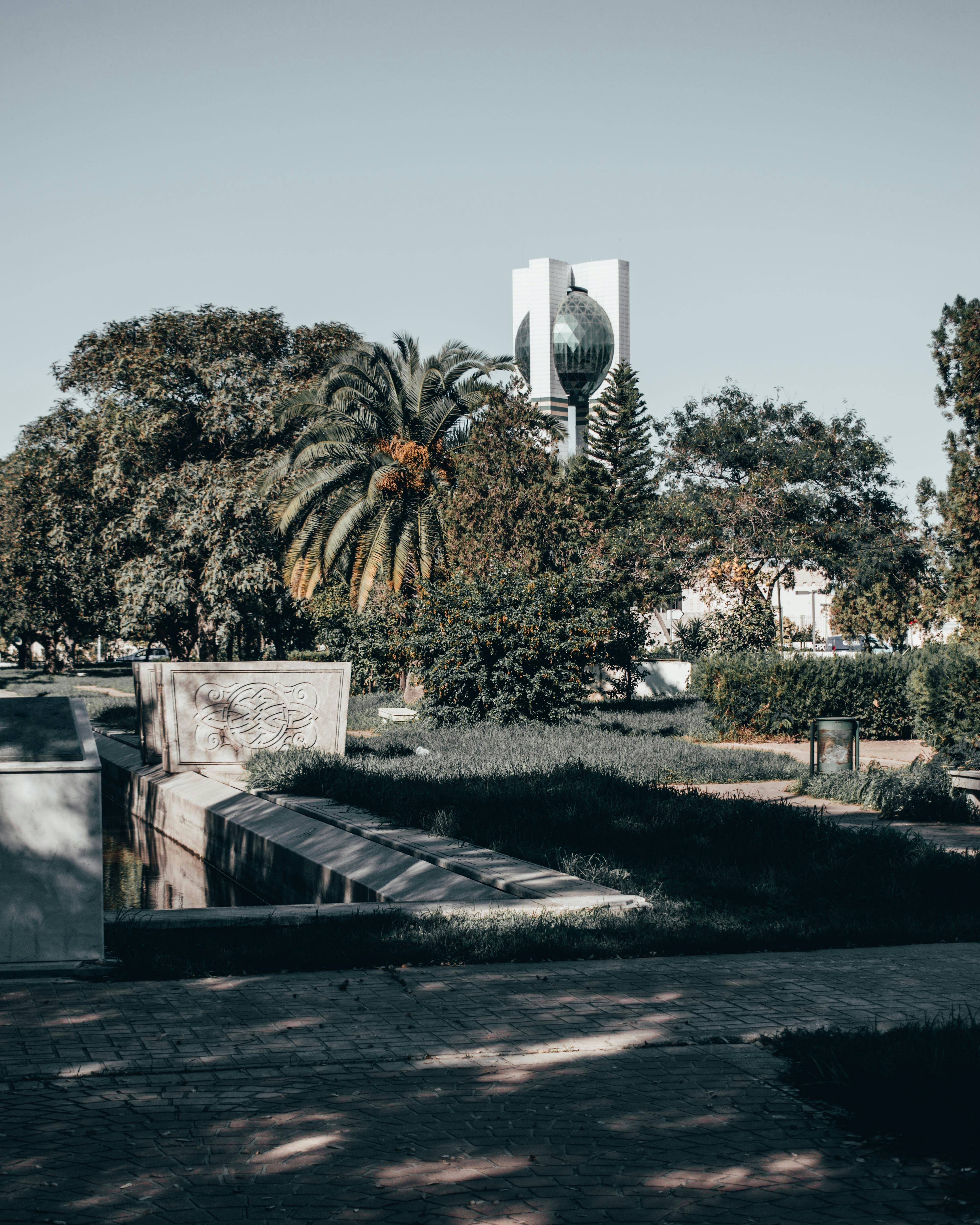 Photo by bilal_ayadi