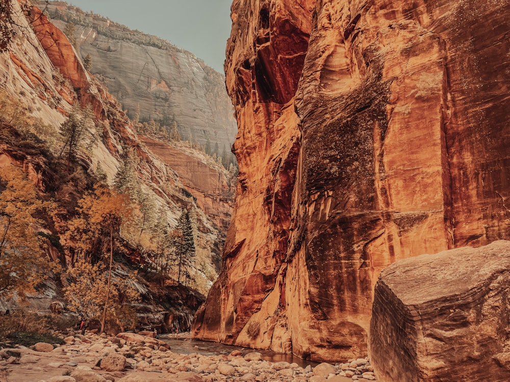 a narrow canyon with a river running through it