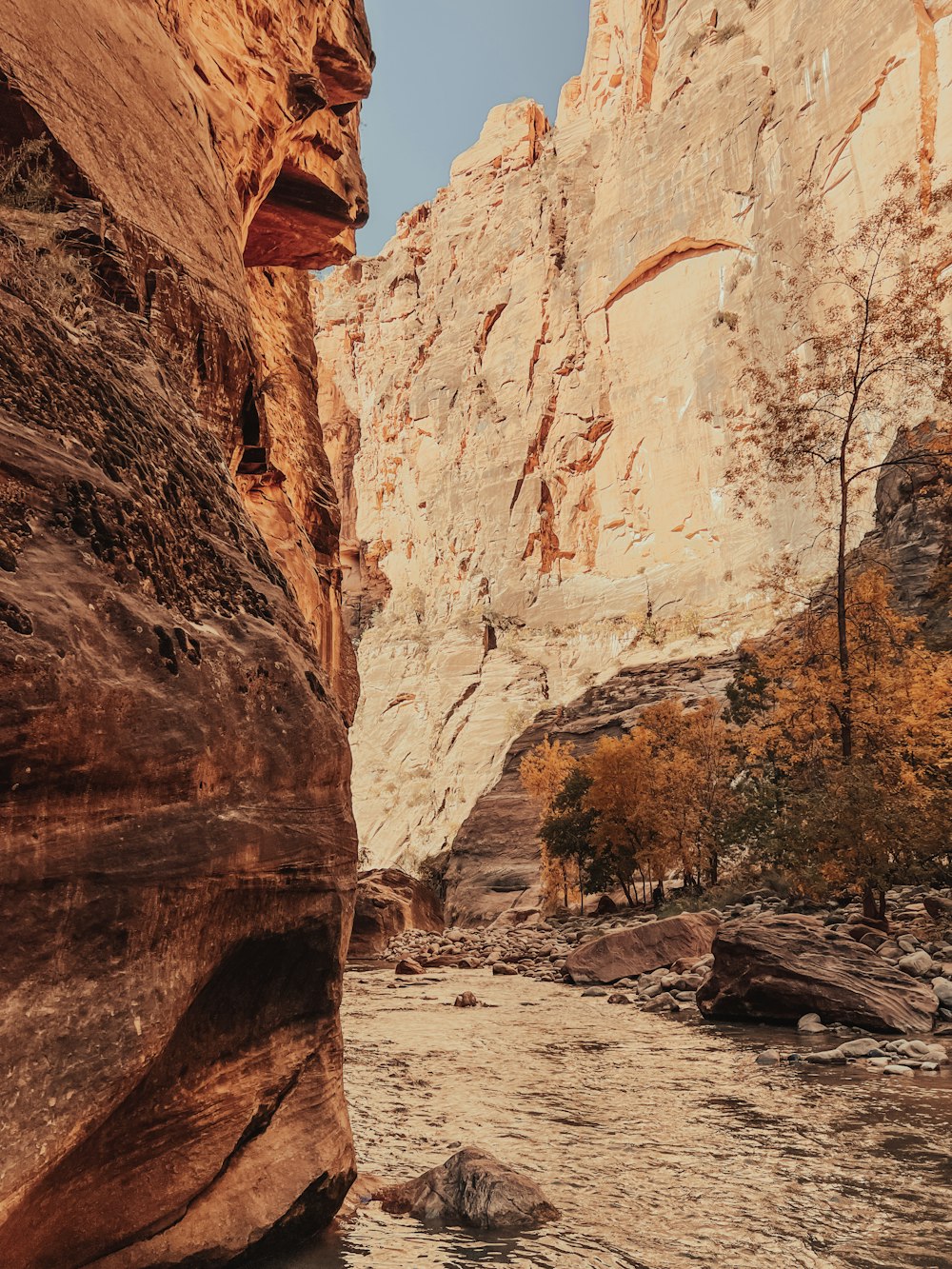 a narrow canyon with a river running through it