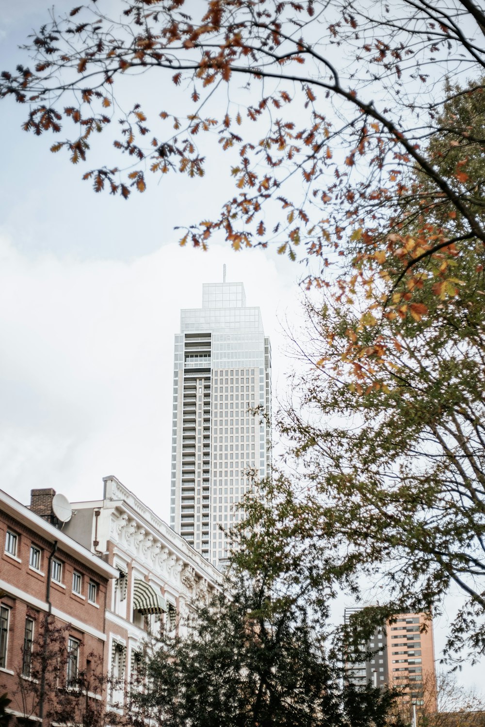 a tall building towering over a city filled with tall buildings