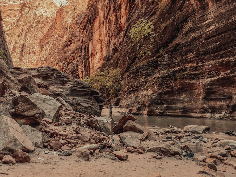 a man standing in the middle of a canyon