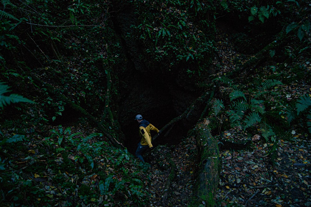 a person standing in the middle of a forest