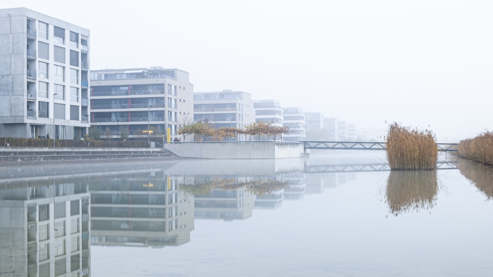 a body of water with buildings in the background