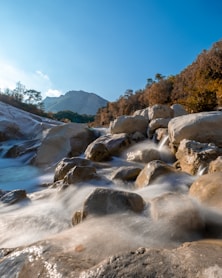 a stream of water running through a forest