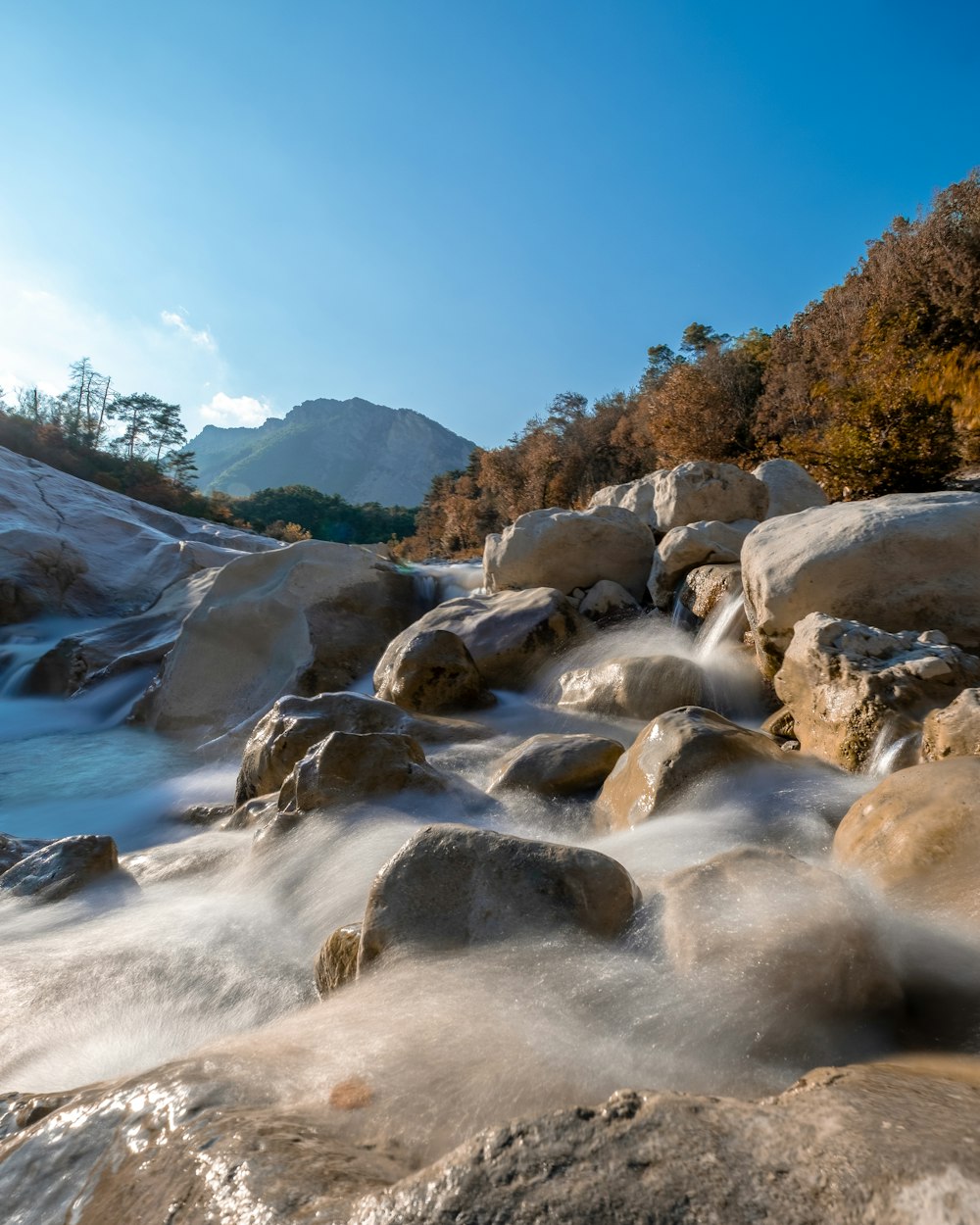 a stream of water running through a forest