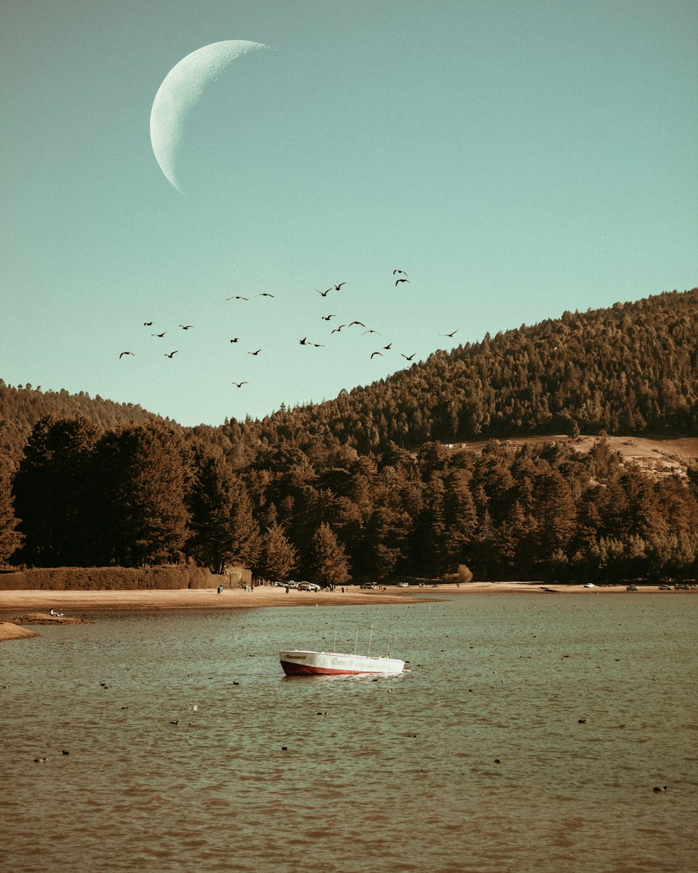 a boat floating on top of a lake next to a forest