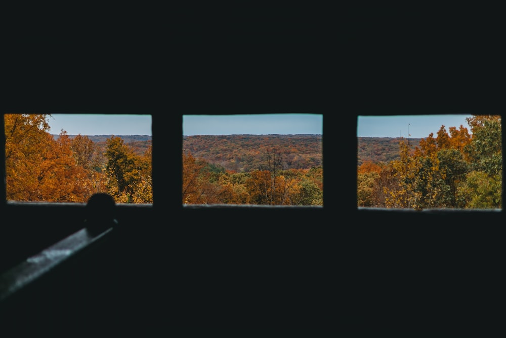 a view out of a window of a forest