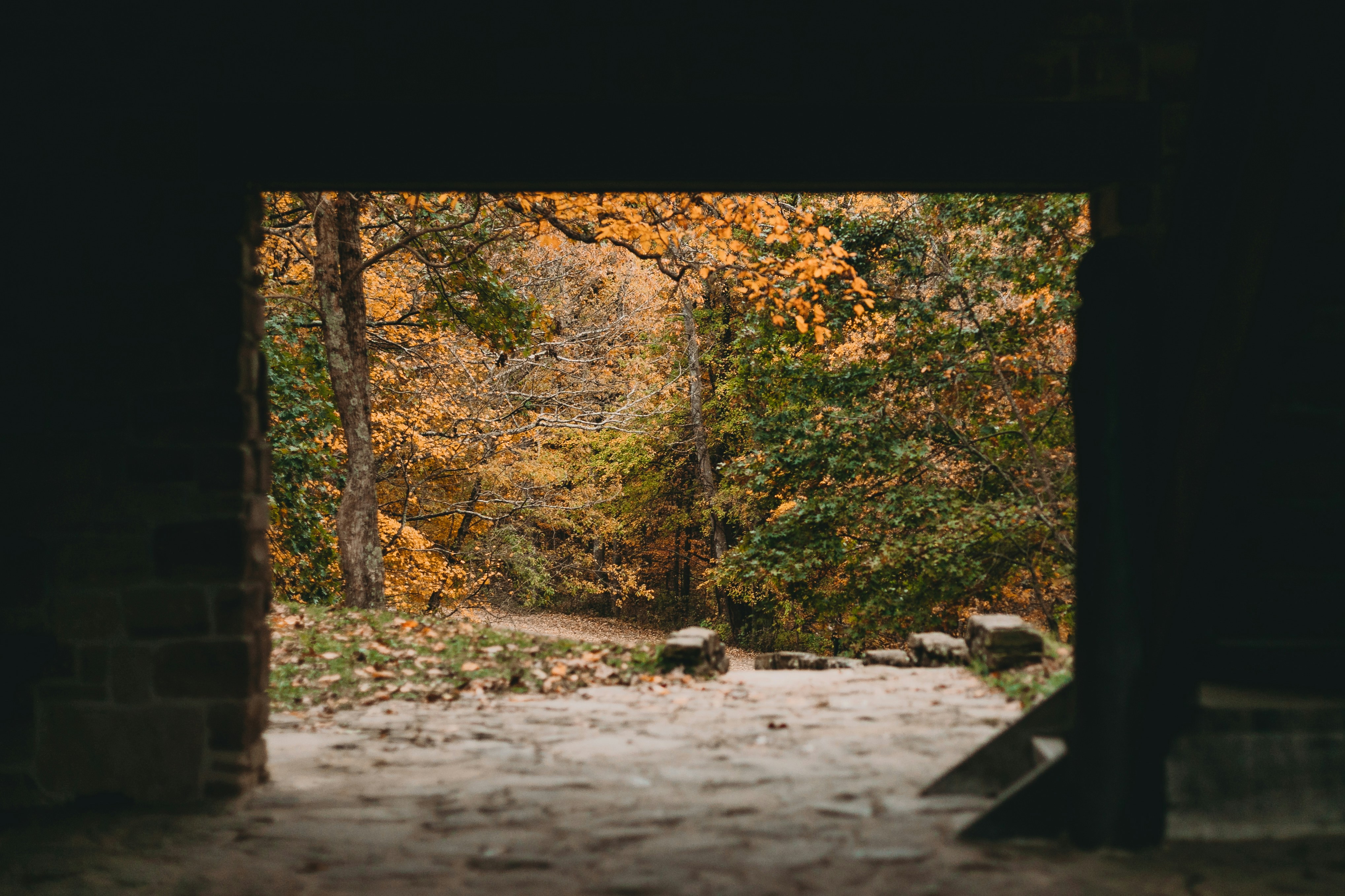 Photo by stevenvanelk