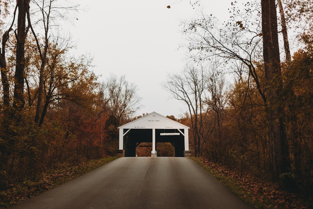 a covered bridge in the middle of a wooded area
