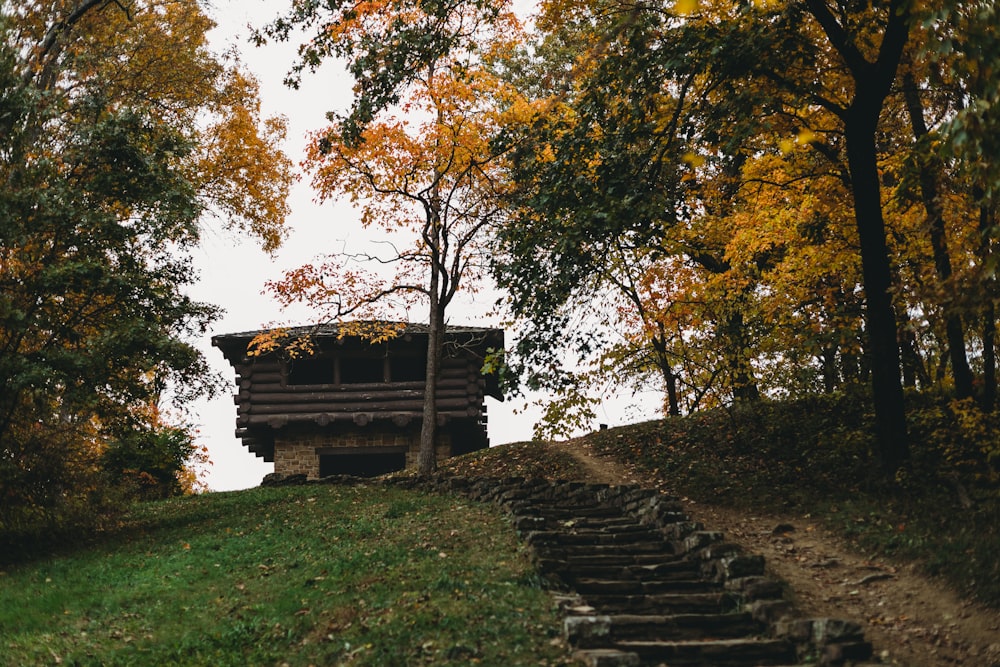 Una struttura in legno seduta sulla cima di una collina verde lussureggiante