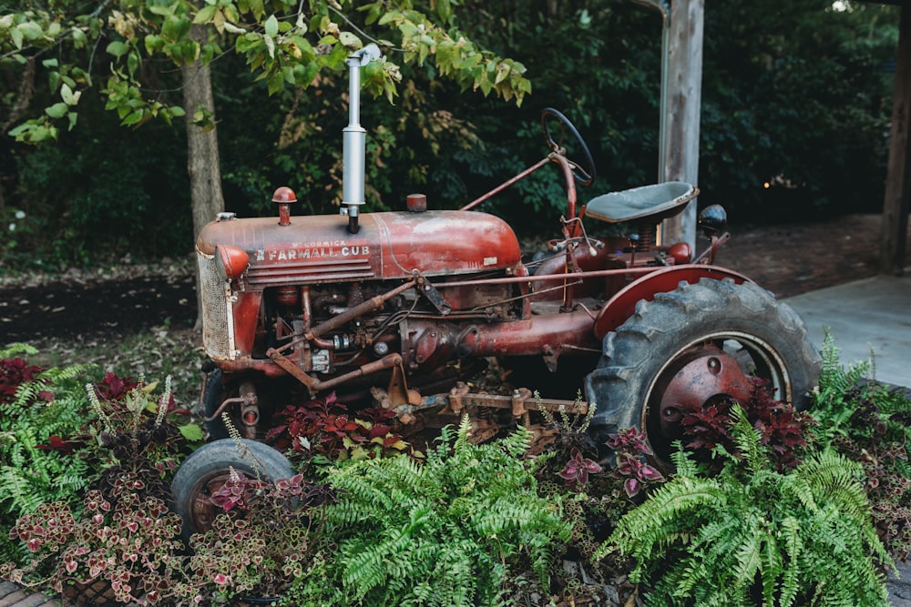 an old red tractor sitting in a garden