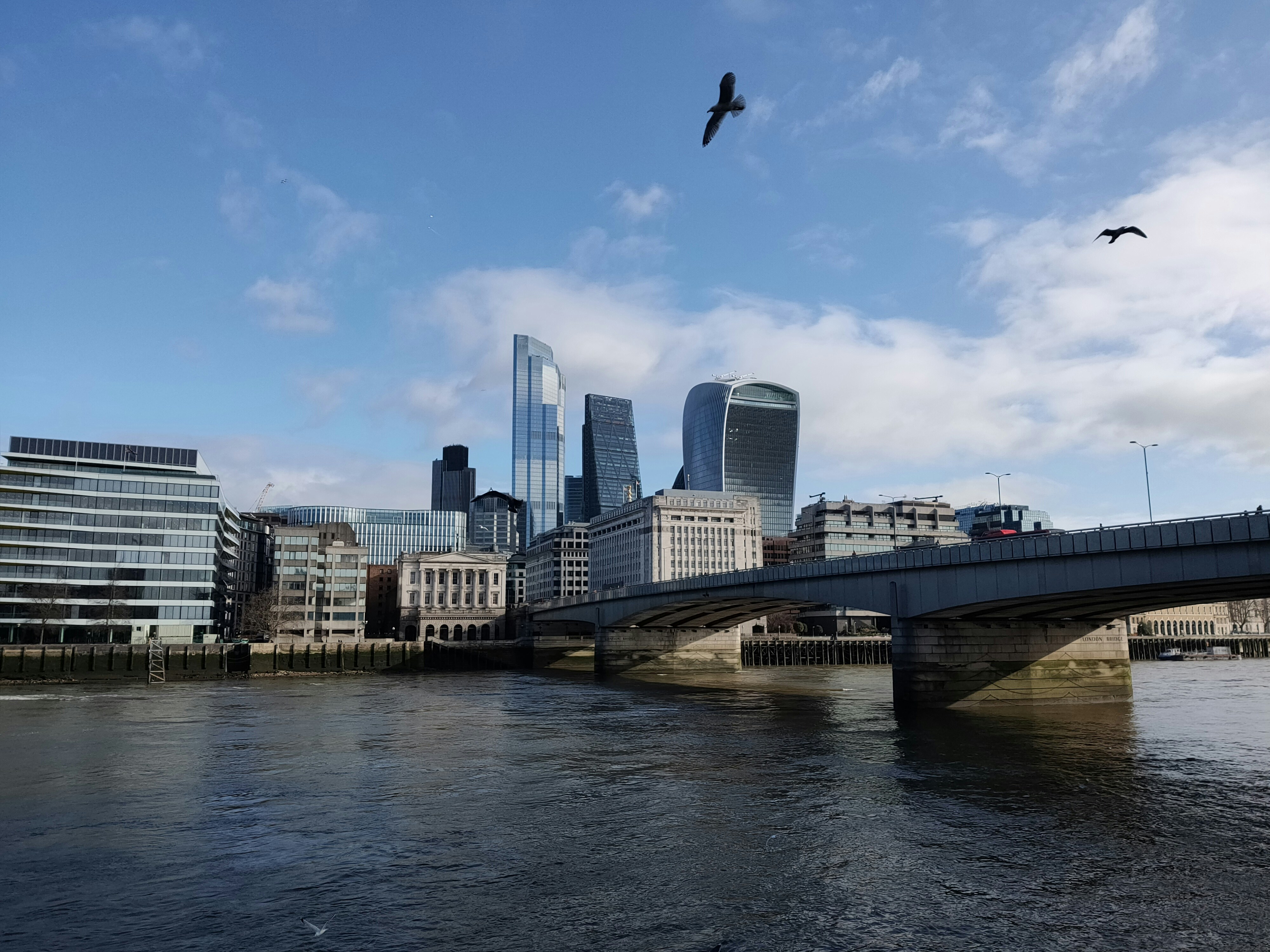 un oiseau survolant une rivière à côté d’un pont