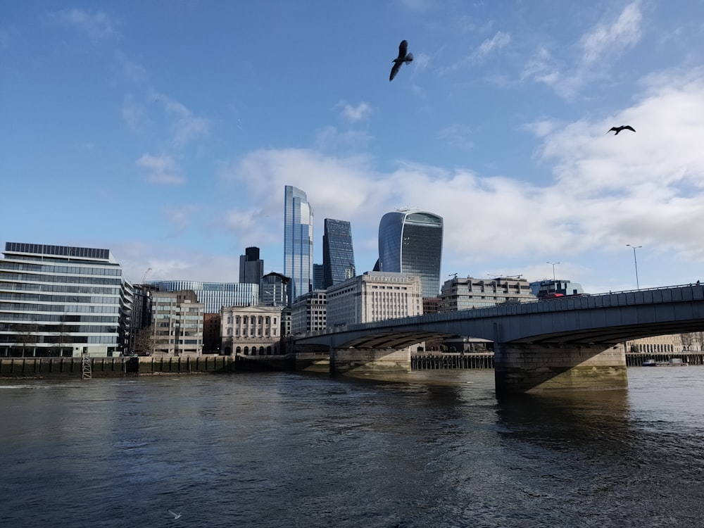 a bird flying over a river next to a bridge