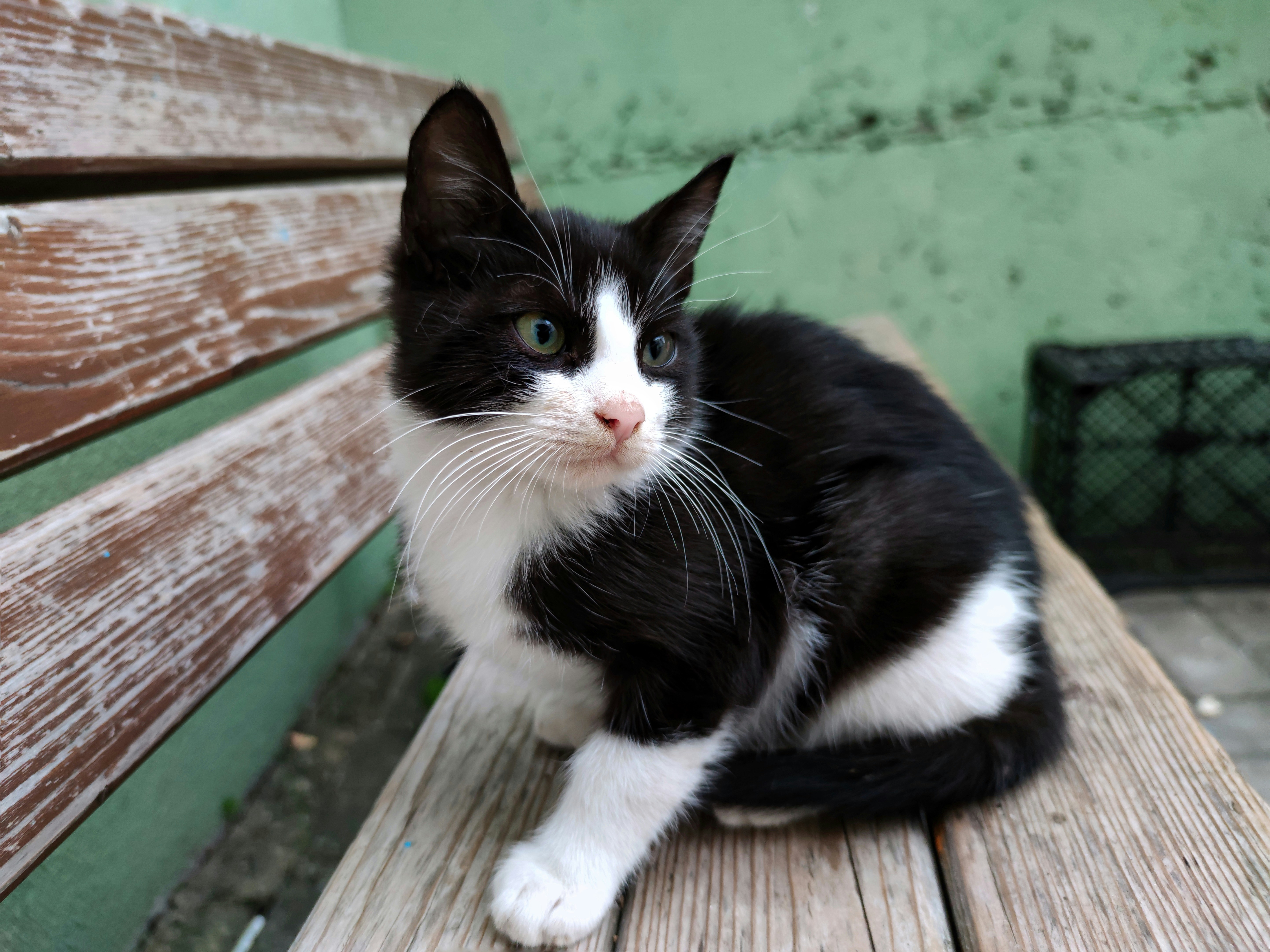 Photo by renkgezgini