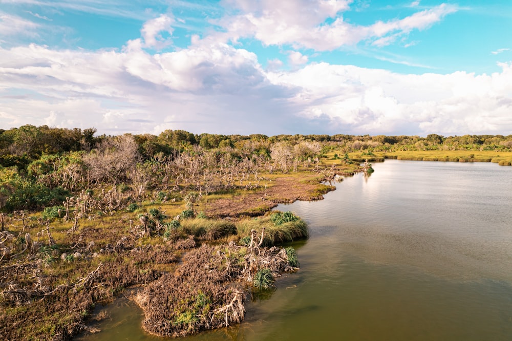 a body of water surrounded by trees and grass