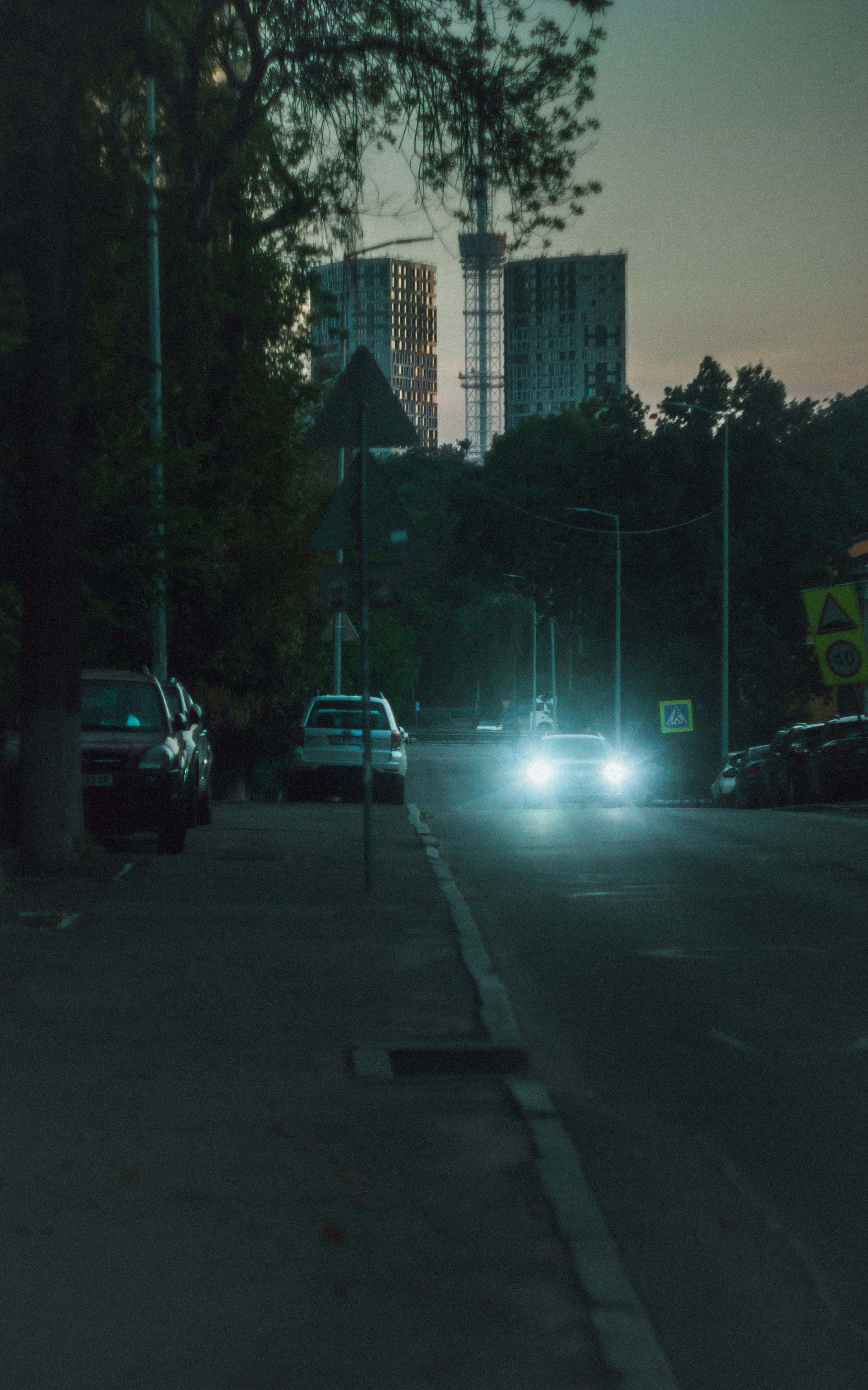 Photo by samoyedness