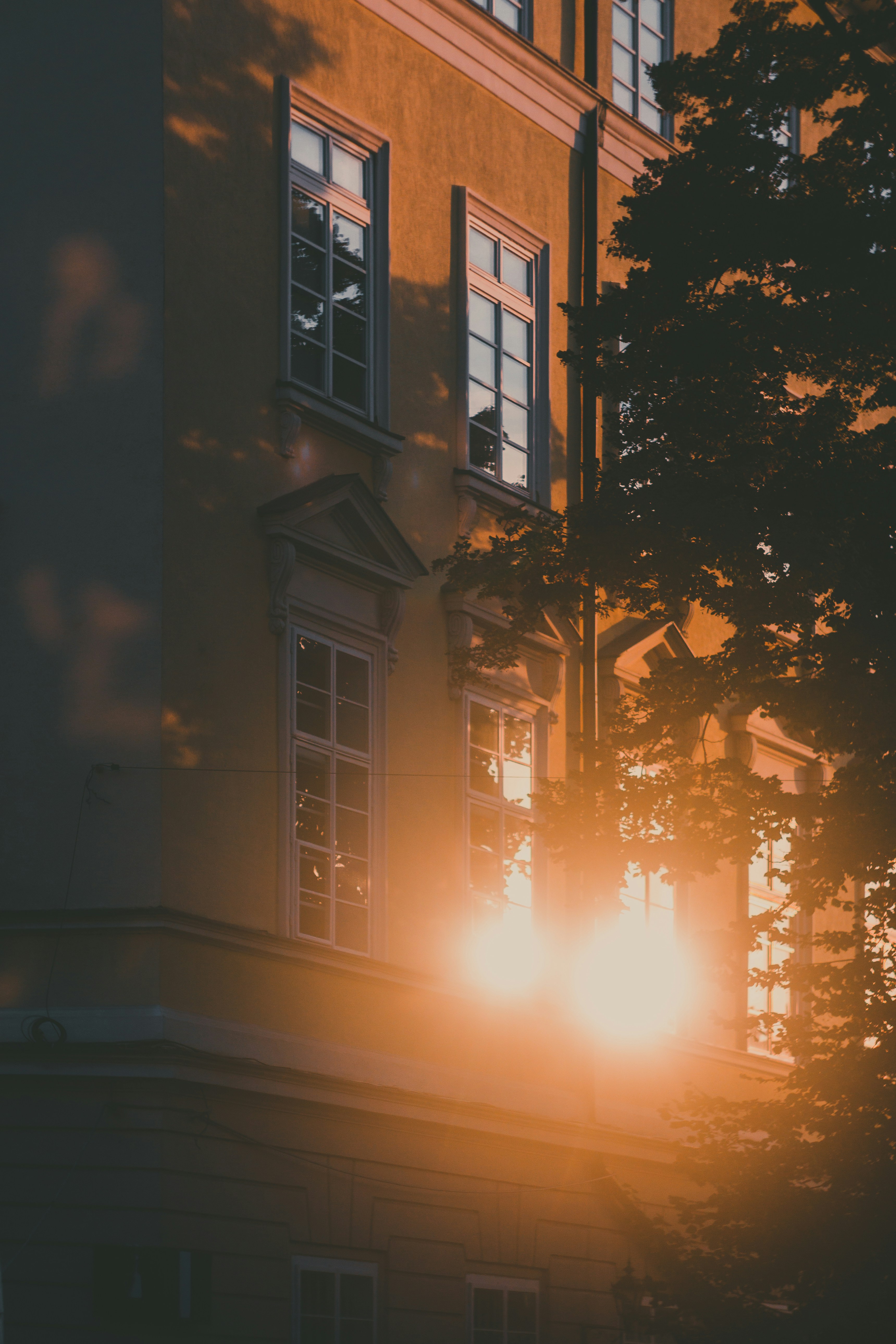 Photo by samoyedness